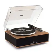 Angels Horn H019 Bluetooth Turntable, High-Fidelity Vinyl Record Player with Bui