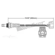 PAT Oxygen Sensor - EGO-436