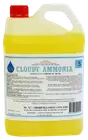 Cloudy Ammonia
