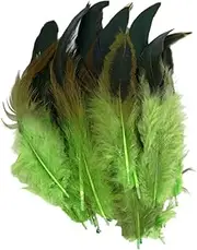 50pack/lot DIY Feather Crafts Made with Fiber for Lasting Beauty Safe and Odorless Natural Feather Feathers, Fruit Green