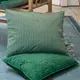 PIP STUDIO Home deco Suki Green 抱枕50x35cm