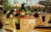 "Goofy Goes For A Spin" On Teacups, Disney World, FL Postcard