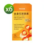 WEDAR 金盞花葉黃素 6盒組 (網路限定版)