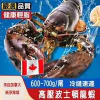 在飛比找momo購物網優惠-【匯豐禾】加拿大高壓波士頓龍蝦（600-700g/尾）(高壓