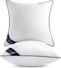 18"X18" Pillow Inserts Set of 2 Decorative Square Throw 18" Pillows with 100% Co