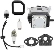 Carburetor Kit Fit for Tana RB24EAP TRB24EAP 239cc Handheld Blower WYC 27