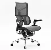 SIHOO S300 Ergonomic Office Chair 6D Dynamic Lumbar Support Adjustable Seat Dept