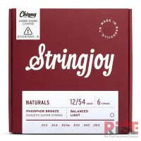 在飛比找Yahoo!奇摩拍賣優惠-【又昇樂器 . 音響】美國 手工品牌 Stringjoy 1