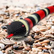 Discovery Kids Remote Controlled King Snake NEW IN BOX