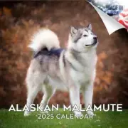 ALASKAN Malamute Wall Calendar 2025 Animal DOG PET Lover Gift