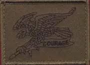 2nd Cavalry Regiment (Subdued - OD) #3 Militaria Patch Patches