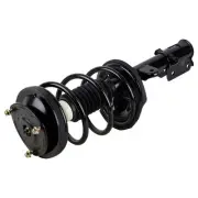 Front Strut Assembly For Kia Sedona & Hyundai Entourage