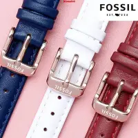在飛比找Yahoo!奇摩拍賣優惠-（）FOSSIL手錶帶女 真皮錶帶 化石ES3737/379