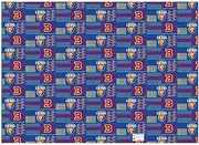 Brisbane Lions AFL Gift Wrapping Paper School Book Covering