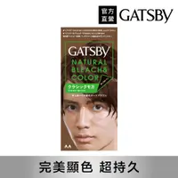 在飛比找PChome24h購物優惠-GATSBY 無敵顯色染髮霜 (摩卡深棕)