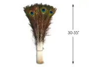 50 Pieces - 30-35" Natural Long Iridescent Peacock Tail Eye Wholesale Feather