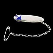 Oval Sterling Silver Baby Identity Name Brooch Pin with Blue Bird