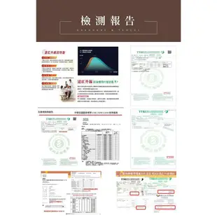 【寢城之戀】石墨烯×萊賽爾天絲 四季透氣 涼被床包組(4X5尺/台灣製造)