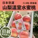 免運!【水果狼】日本空運山梨溫室水蜜桃5-6顆 / 盒1kg 原裝 免運 日本水蜜桃 1kg/盒 (6盒,每盒2448.5元)