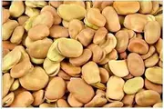 Broad Beans Dry Fava Beans (2kg)