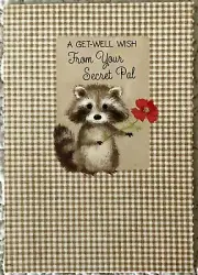 Unused Secret Pal Get Well Raccoon Red Flower Vtg Greeting Card 1960s 1970s