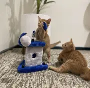 Cattitude Pounce N Play Cat Scratch Post Busybee Blue, Blue/Grey, 35Cm Height...