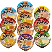 Japan's Most Popular Ramen Assorted Packs Joyful Bundle Pack of 10 Classic Se...