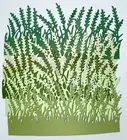 WHEAT GRASS cardstock paper die cut embellishments