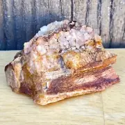 .3 OZ UTAH Raw Rough PETRIFIED FOSSIL WOOD Log 1.25” BRILLIANT CRYSTAL WOOD RING