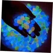 Glow in Dark Rocks - Glow Pebbles Stones for Outdoor Garden, SMALL 500 MIXED