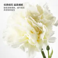 在飛比找蝦皮購物優惠-仿真花 【銘軒 家私】IKEA宜家SMYCKA思米加人造花康