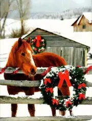 FOR THE HORSE LOVER! HORSE & BARN IN PASTURE CHRISTMAS CARD by GALISON (13)