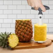 Plastic Pineapple Corer Cutter Peeler Kitchen Tool Plastic Detachable Handle