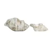 Cast Concrete Conch Shell Planter | 2 Sizes