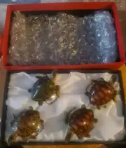 Hans Turnwald Signature Collection Tortoise Napkin Ring Holder Set of 4 in Box