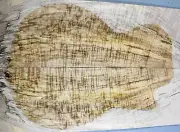 5A Figure Electric Guitar Top Ripple Spalted Maple Wood Bookmatch Luthier Supply