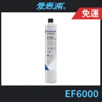 在飛比找蝦皮購物優惠-【EVERPURE 愛惠浦】EF6000 碳纖活性碳濾心