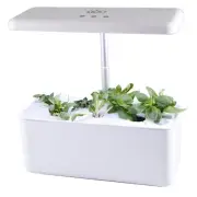 7 Pods Hydroponics Growing System Indoor Herb Garden Compact Gardening System