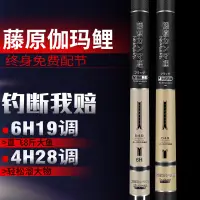 在飛比找蝦皮購物優惠-伽瑪鯉魚竿手竿碳素超輕超硬28調鯉魚竿6H19調黑坑臺釣竿工