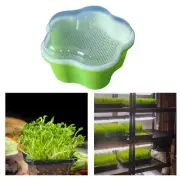Tray with Lid Nursery Tray for Planting Bean Seedling Outdoors