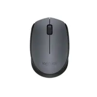 在飛比找蝦皮商城優惠-羅技 LOGITECH 910-004660 羅技M171 