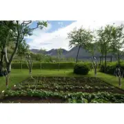 DonovanMaker Garden Sphere with Stand Black