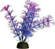 Bettascape Betta Ambulia Purple 14cm Tall Aquarium Plant Fish Tank Aqua One
