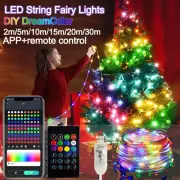 Dreamcolor Rgb Led Strip WS2812B Bluetooth Smart String Fairy Lights Christmas G