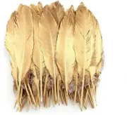 Sowder Natural Goose Feathers Clothing Accessories Pack of 50 (Gold)