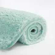 Large Bathroom Rug Extra Soft and Absorbent Shaggy Bathroom Mat (24 X 40, Aqua)