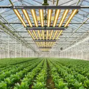 6500W Spider LED Grow Lights Sunlike Full Spectrum for Commercial Indoor Farming