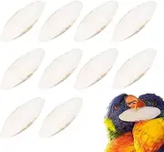 Cuttlebone Birds - Cuttlefish Bonnes Play, 10pcs Natural Bird Perch Chew Toys | Cage Accessories for Parakeets, Parrots, Turtles, Snails, Hamsters, Pet Supplies for Beak Trimming and Calcium Boost