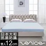 在飛比找遠傳friDay購物優惠-Venice 日本防蹣抗菌12cm記憶床墊-雙人5尺(贈收納
