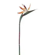 NEW Crafter's Choice Bird Of Paradise Floral Stem By Spotlight
